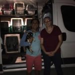 Coast to Coast Pet Delivery and Pet Travel